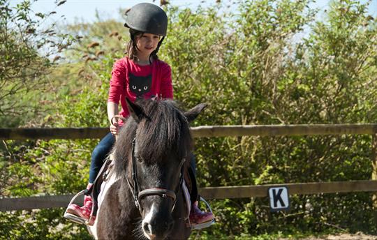 Onsite horse riding at Broomhill