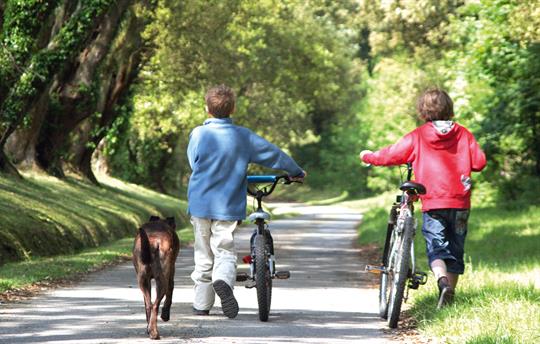 Enjoy the space with your family