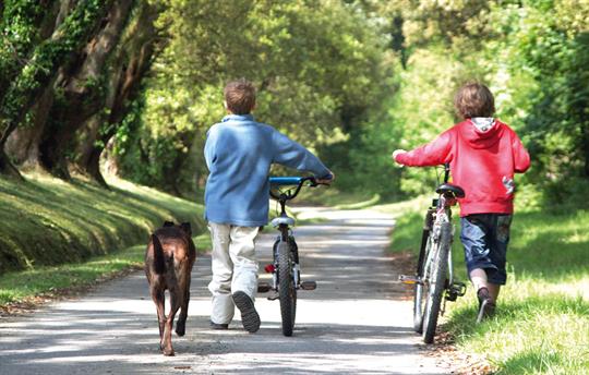 Enjoy the space with your family