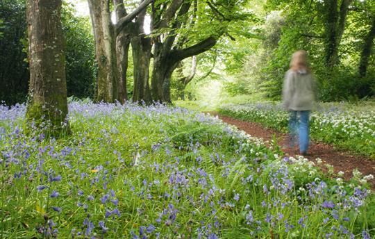 1000 Acres of woodland and farmland