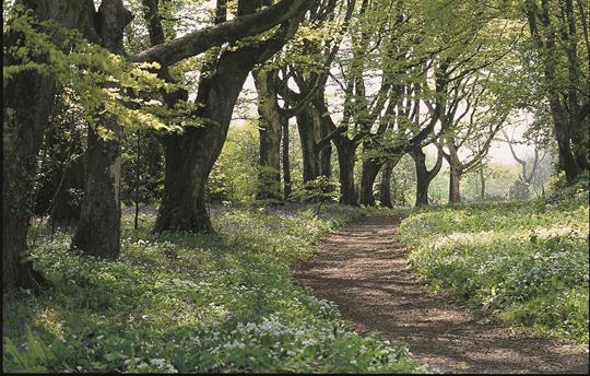 Trelowarren walks through estate