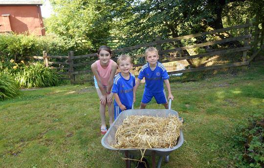 New Beds for the Ducks!