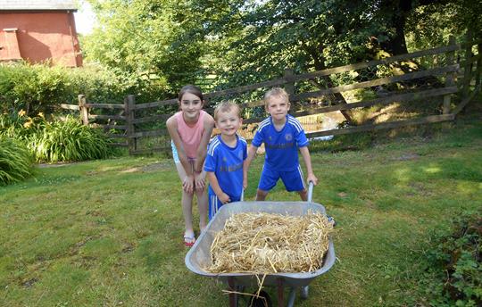 New Beds for the Ducks!