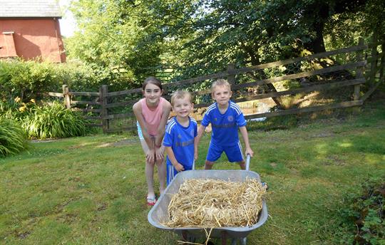 New Beds for the Ducks!