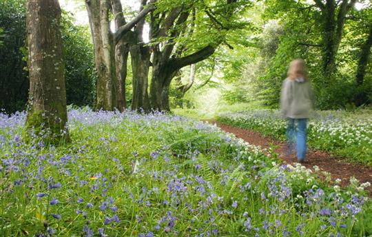 1000 Acres of woodland and farmland