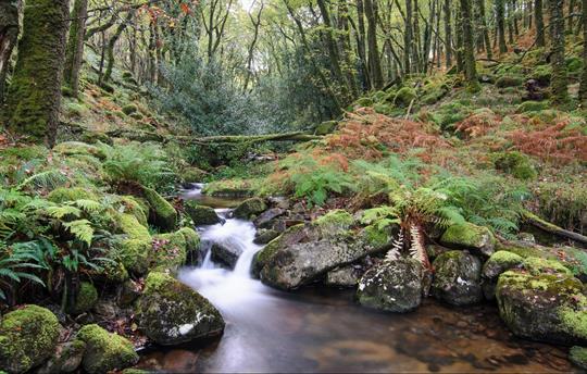 Dartmoor National Park