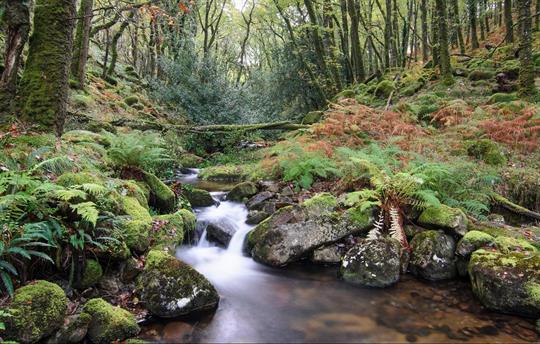 Dartmoor National Park