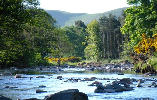 Our beautiful river valley 