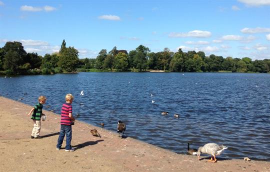 Feed the ducks - The Lakes of North Shropshire