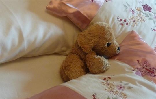 Twin bedroom - tucked up for bed...