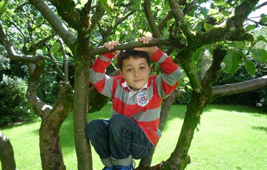 Farmhouse private garden