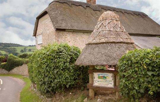 Champernhayes Street View