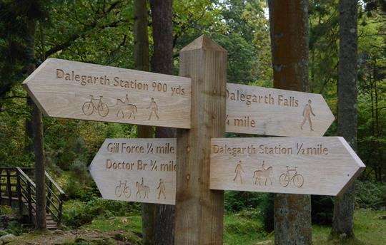 Gentle walks through meadows