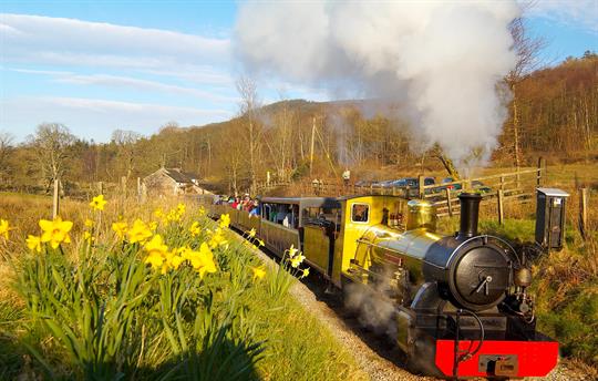 Narrow gauge railway - 5 mins away