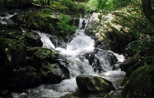 The tumbling Whillan Beck