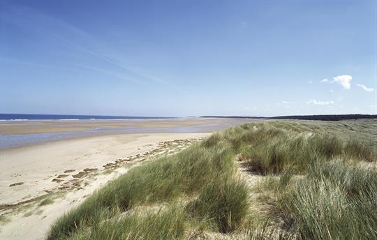 The beach at Holkham