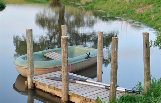 Daydream by the Pond