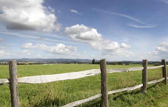 The view from the drive