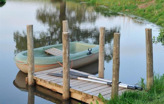 Daydream by the Pond