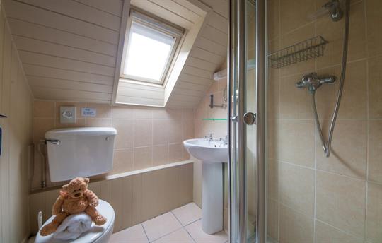 Seagull Cottage - shower room