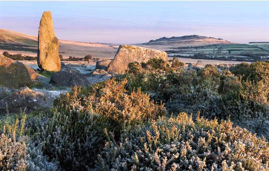 Preseli Hills Pembrokeshire