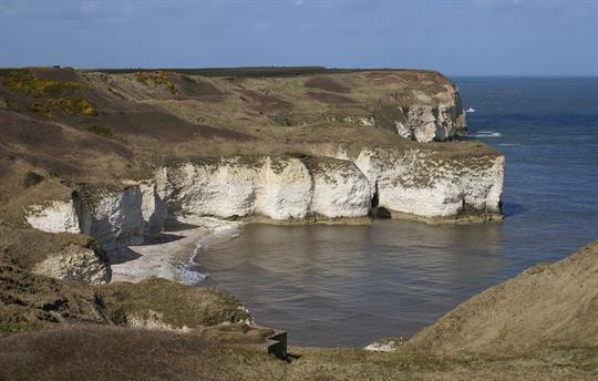 Flamborough coastline