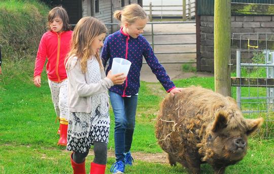 Walking Chilli up to the fields