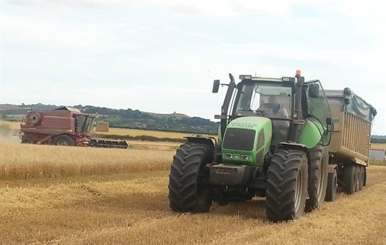 Harvest time on our farm 