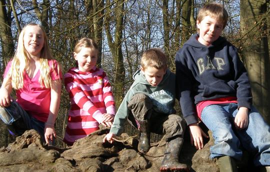 Children on log