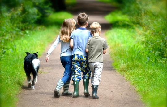 What shall we do today?