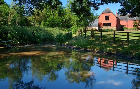 South Coombe Duck Pond