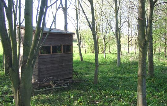 Woodland walk and wildlife hide