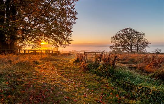 Beacon Hill wood from the bedroom