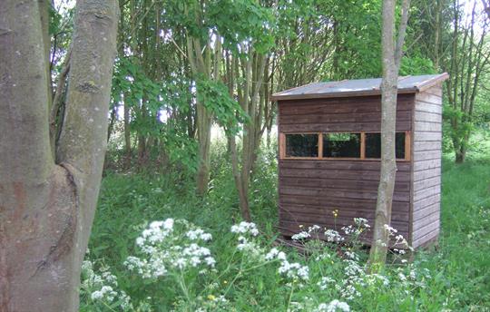 Woodland walk and wildlife hide