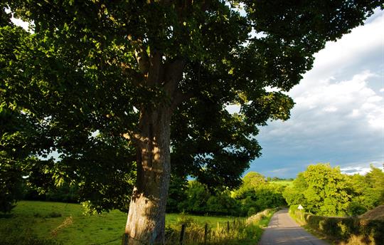 Countryside location