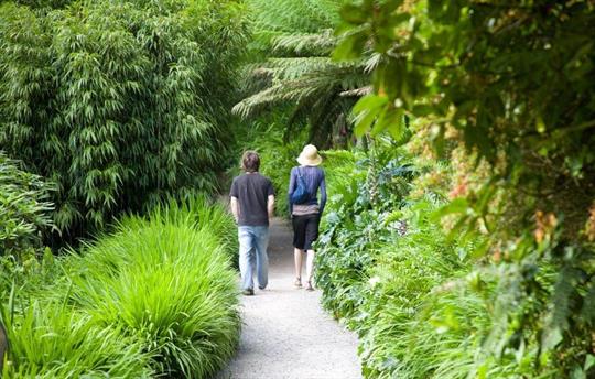 Trebah - c/o Trebah Gardens