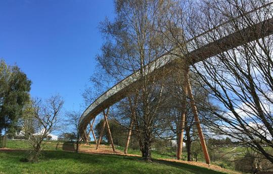 Sky Bridge at Westonbirt