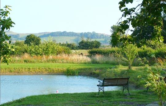 View from Chestnut Cottage