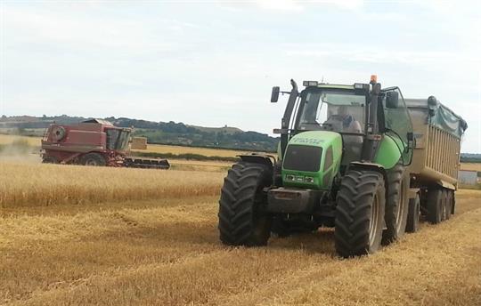 Combine hard at work on our farm