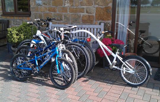 Hiring of bike for all the family