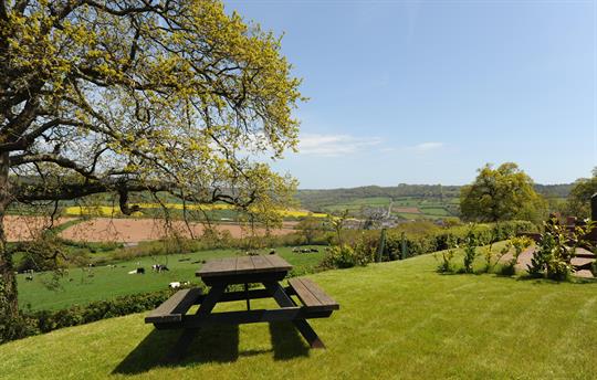 View from the garden