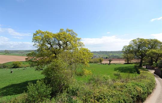 View from Oak Cottage