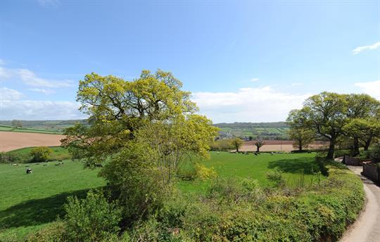 A view from the balcony