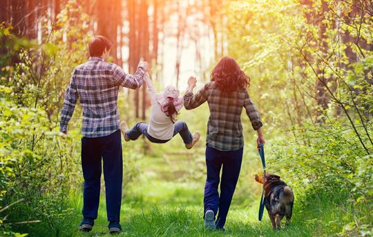 Family Walk In Woods