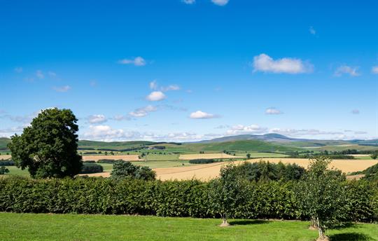 Hemmel House Landscape 2