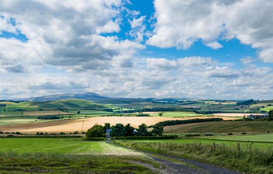 Millers Hill Landscape 