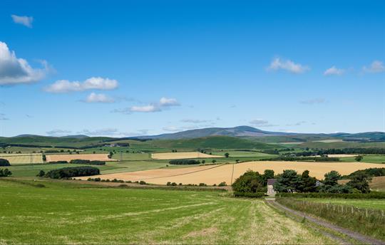 Hemmel House Landscape