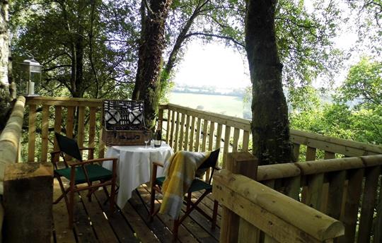 Secret Tree Platform | Nestled Among the Trees