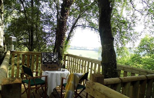 Secret treetop viewing platform