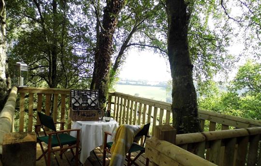 Secret treetop viewing platform